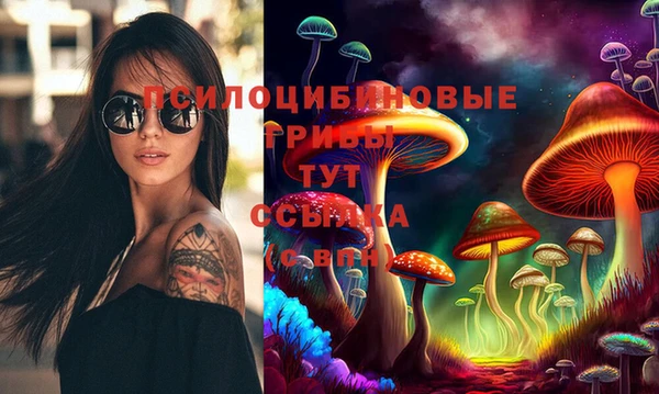 молекула духа Нефтекумск