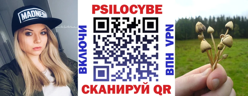закладки  Апрелевка  Галлюциногенные грибы Psilocybine cubensis 