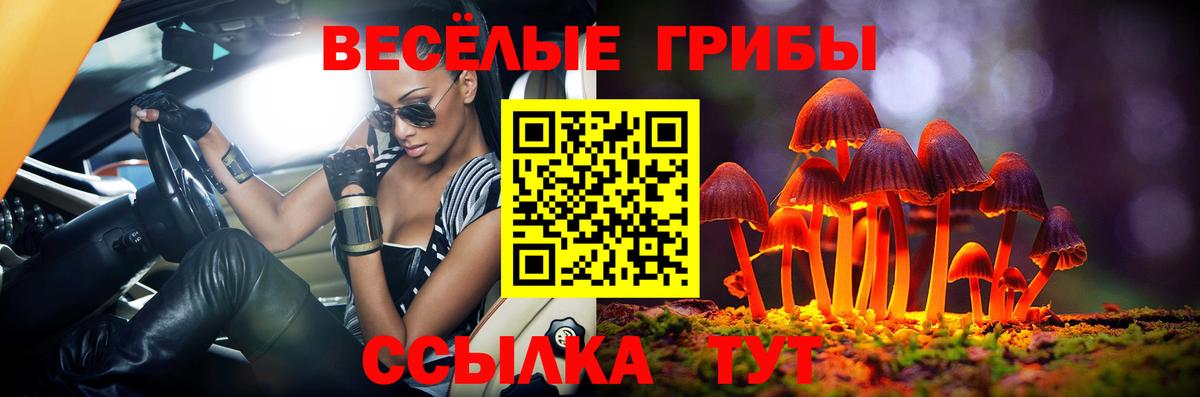 Псилоцибиновые грибы Psilocybe  Апрелевка 