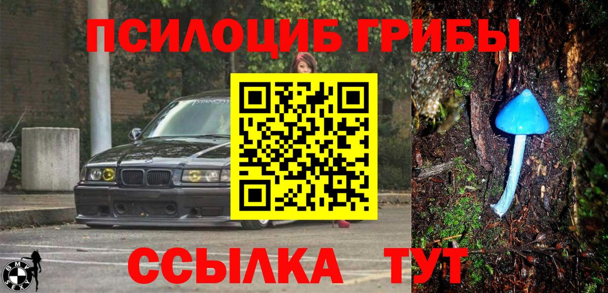 Галлюциногенные грибы Psilocybe  Вход с VPN  Псилоцибиновые грибы GOLDEN TEACHER  Апрелевка 